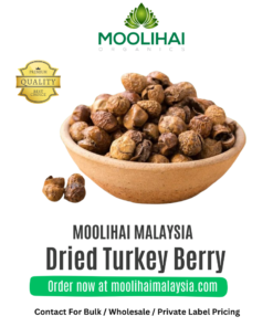Dried Turkey Berry / Solanum Torvum