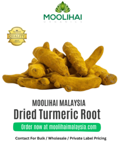 Dried Turmeric Root / Haldi
