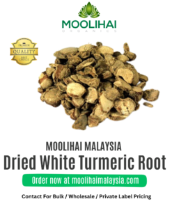 Dried White Turmeric / Zedoary Root