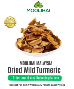 Dried Wild Turmeric / Kasthuri Manjal