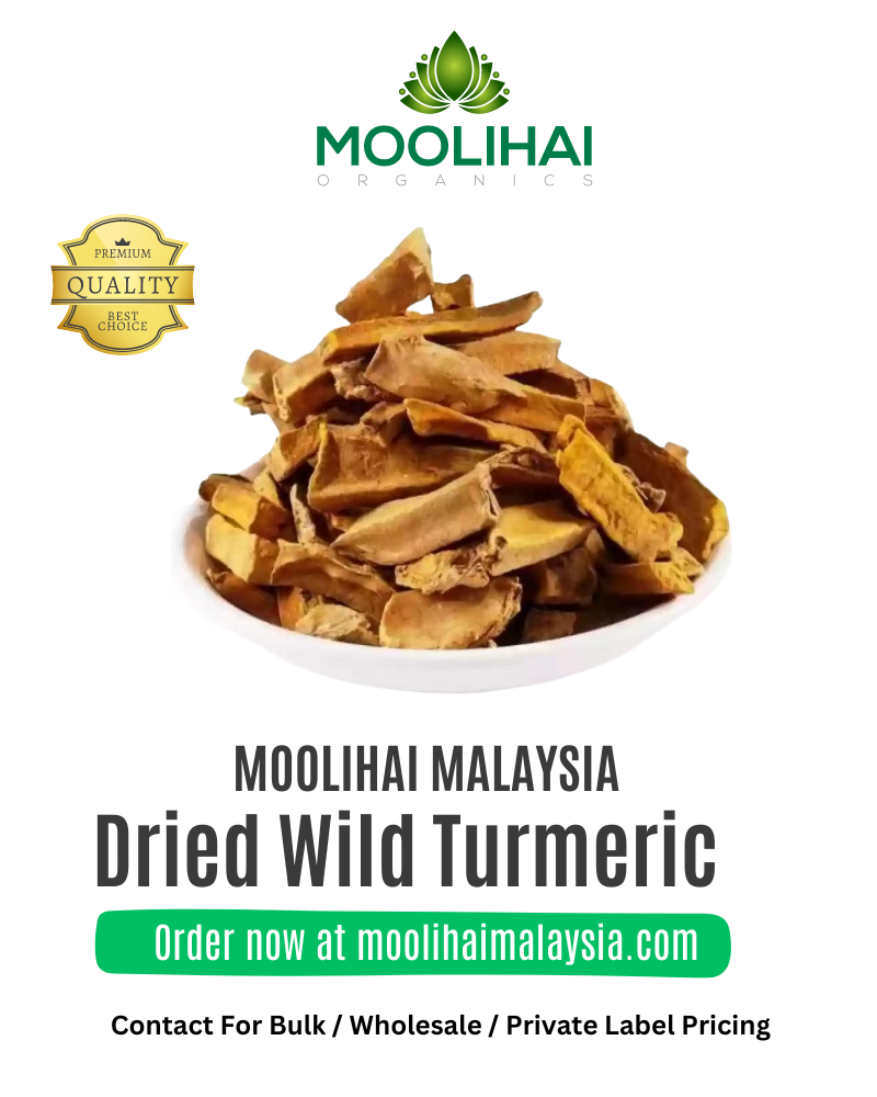 Dried-Wild-Turmeric-1-1.png