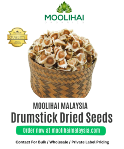 Bijirin Kering Drumstick
