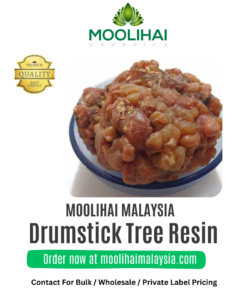 Drumstick Tree Resin / Murungai Pisin