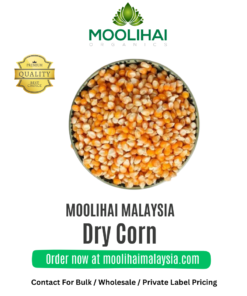 Dry Corn / Maize