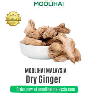 Dry Ginger / Sukku