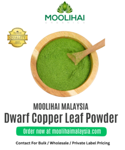 Dwarf Copper Leaf / Ponnanganni leaf Powder