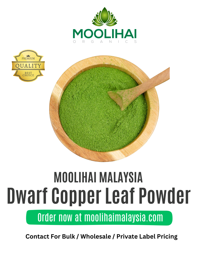 Dwarf-Copper-Leaf-Powder-1-1.png