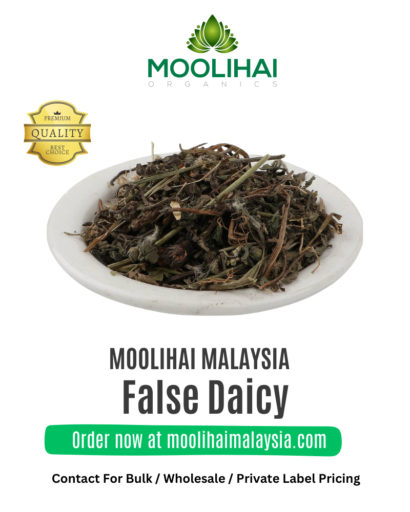 Karisalanganni Putih (False Daisy) – Herba Serbaguna untuk Rambut & Kesihatan Dalaman