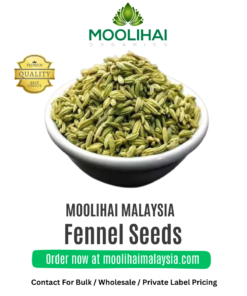 Fennel Seeds
