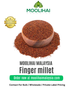 Finger millet / Ragi