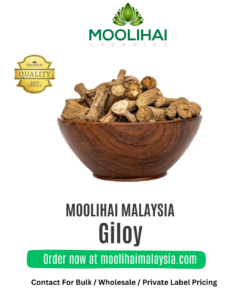 Giloy / Guduchi – Herba Tradisional 100g