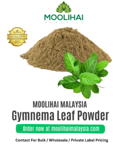 Gymnema Leaf Powder / Sirukurinjan
