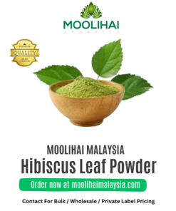 Serbuk Daun Semparuthi / Hibiscus Leaf Powder – Sokong Imun & Metabolisme Semula Jadi