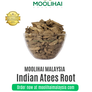Akar Athividayam (Indian Atees) – Herba Ayurveda Serbaguna