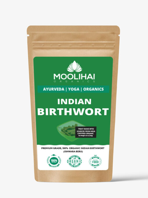 Indian-Birthwort-1.jpg