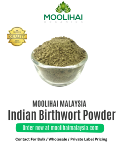 Indian Birthwort Powder/ Aadu Theenda Palai