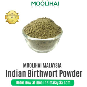Indian Birthwort Powder/ Aadu Theenda Palai