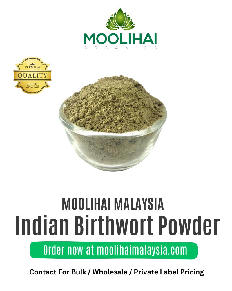 Indian-Birthwort-Powder-1.png