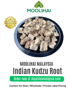 Indian Kudzu Root