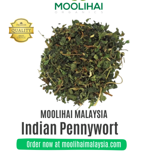 Indian Pennywort / Deva Centella asiatica / Gotu Kola