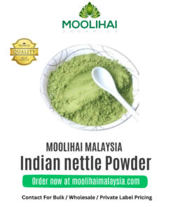 Acalypha indica/ Indian nettle Powder / Kuppaimeni Powder