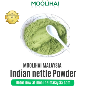 Acalypha indica/ Indian nettle Powder / Kuppaimeni Powder