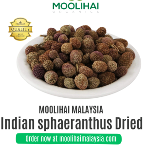 Indian sphaeranthus Dried / Kottai karantai