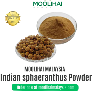 Kottai karantai / Indian sphaeranthus Powder