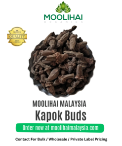 Kapok Buds / Ceiba Pentandra / Marathi Moggu