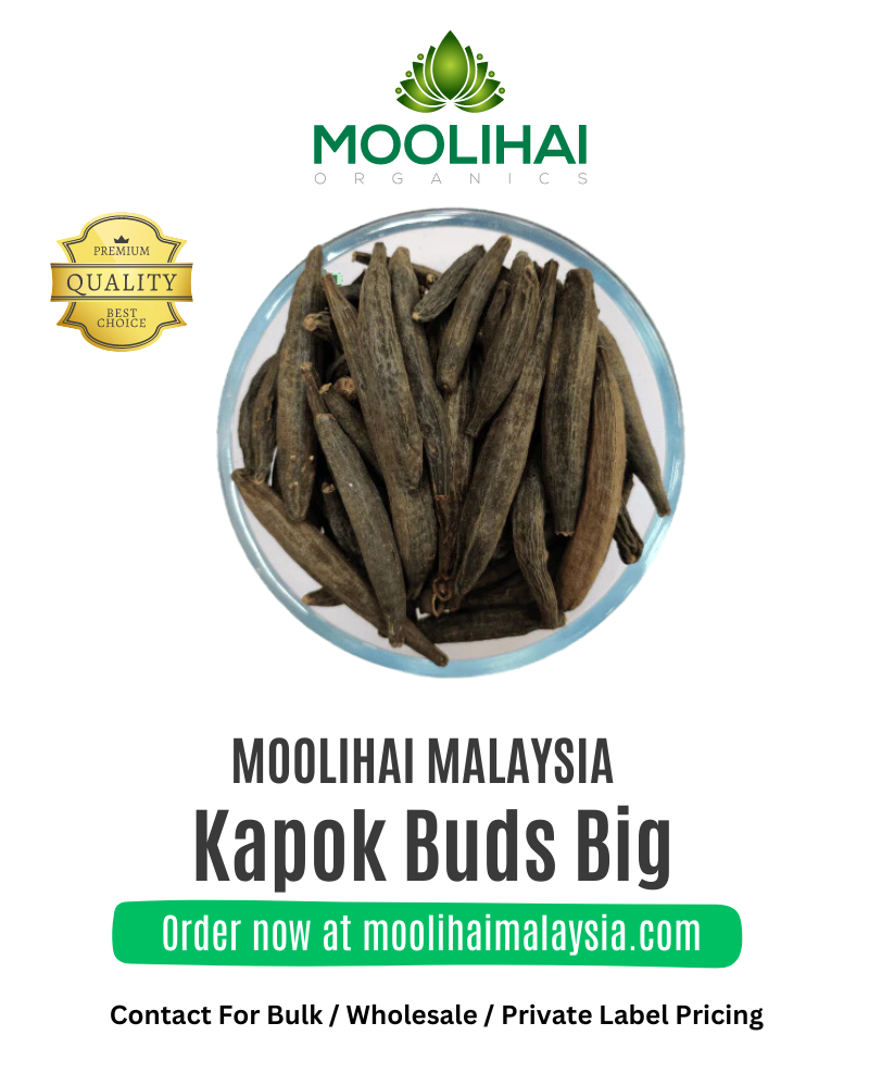 Kapok-Buds-Big-1.png