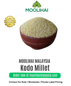 Kodo Millet