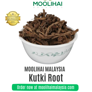 Akar Kutki / Kadugurohini | Herba Ayurveda untuk Pencernaan & Hati
