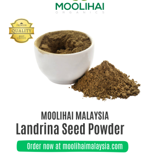 Landrina Seed Powder / Nathai Choori Vithai Podi