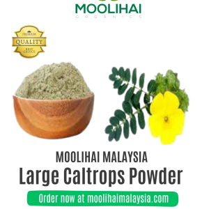 Large Caltrops Powder / Puncture Vine Powder