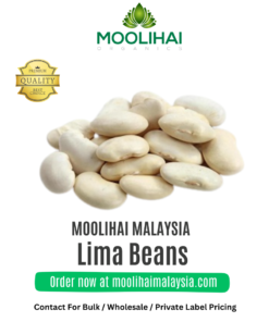 Lima Beans / Rangoon Mocha