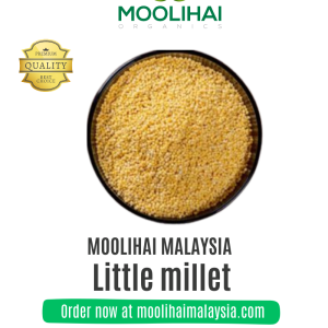 Little millet