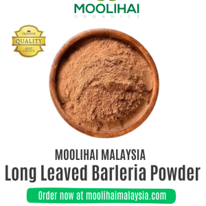 Neermulli Leaf / Long Leaved Barleria Powder / Marsh Barbel Leaves