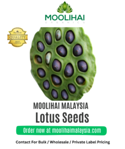 Lotus Seeds