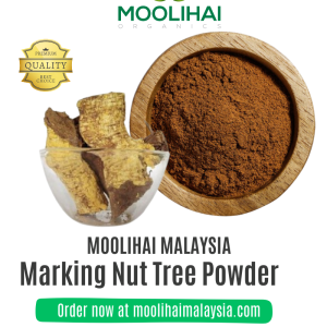 Marking Nut Tree Powder / Ekanayakam Podi