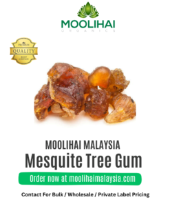 Mesquite Tree Gum / Karuvelam Pisin