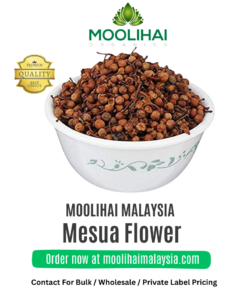 Bunga Leadwort (Siru Naga Poo / Nagkesar) – Herba Tradisional untuk Sakit Perut & Buasir