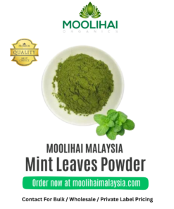 Mint Leaves Powder