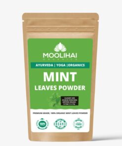 Alternative view of Mint Leaves Powder