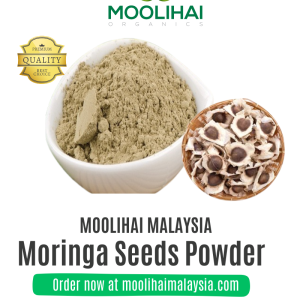 Moringa Seeds Powder