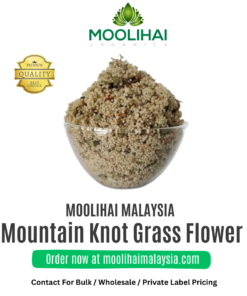 Bunga Rumput Simpul Gunung / Poola Poo – 100g Herba Tradisional