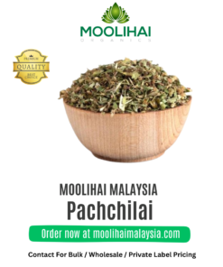 Dried Sweet Basil leaves / Pachchilai