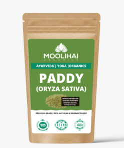 Alternative view of Paddy