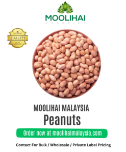 Kacang Tanah