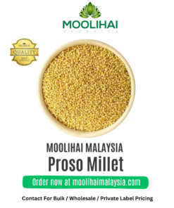 Proso Millet