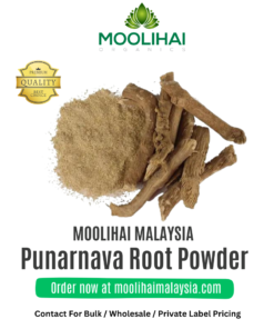 Punarnava Root /Saranai Ver Powder